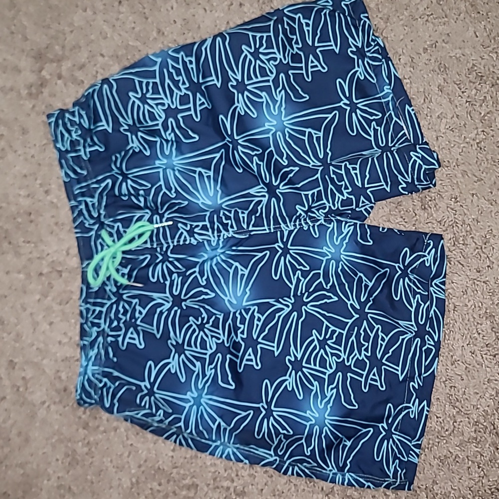 Men's Lined Swim Shorts, size L